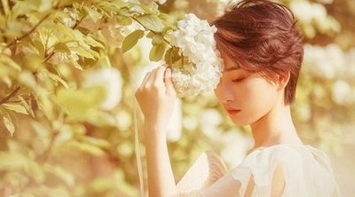 紫微命盘分析