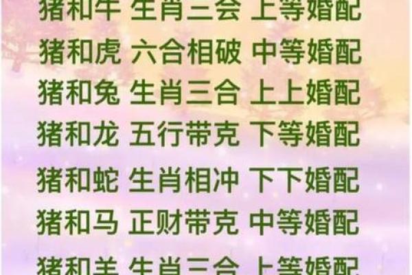 属猴和属猪的夫妻真的合适吗，性格冲突大不大