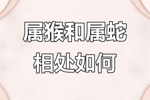 80年属猴女性46岁婚姻危机如何化解，丈夫变心有哪些征兆需警惕