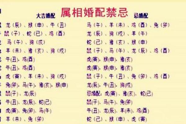 1992年出生的猴生肖寻找最佳婚配属相指南