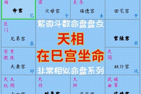 元亨紫薇排盘(元亨紫薇命盘)