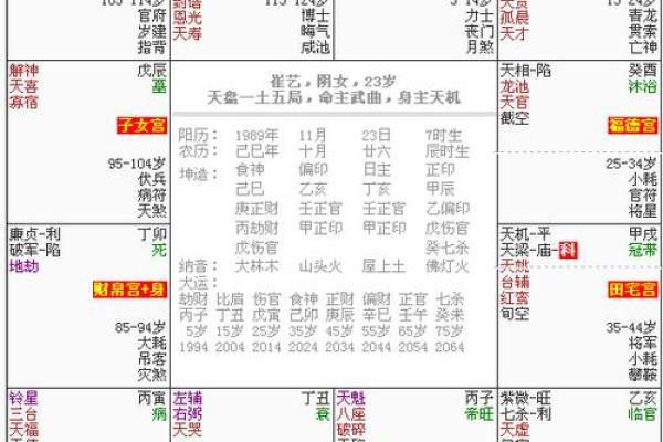 元亨紫薇排盘(元亨紫薇命盘)