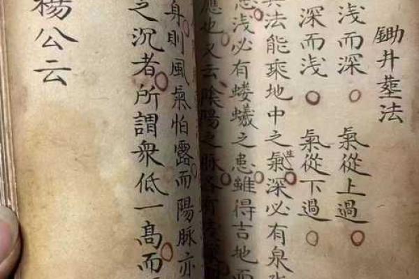 杨老师紫微免费算命